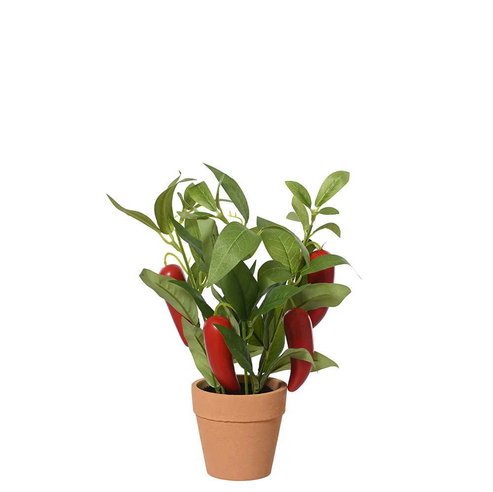 ΠΙΠΕΡΙΕΣ ΤΣΙΛΙ ΣΕ ΓΛΑΣΤΡΑ Δ18ΧΗ25ΕΚ.-KAEMINGK-874592