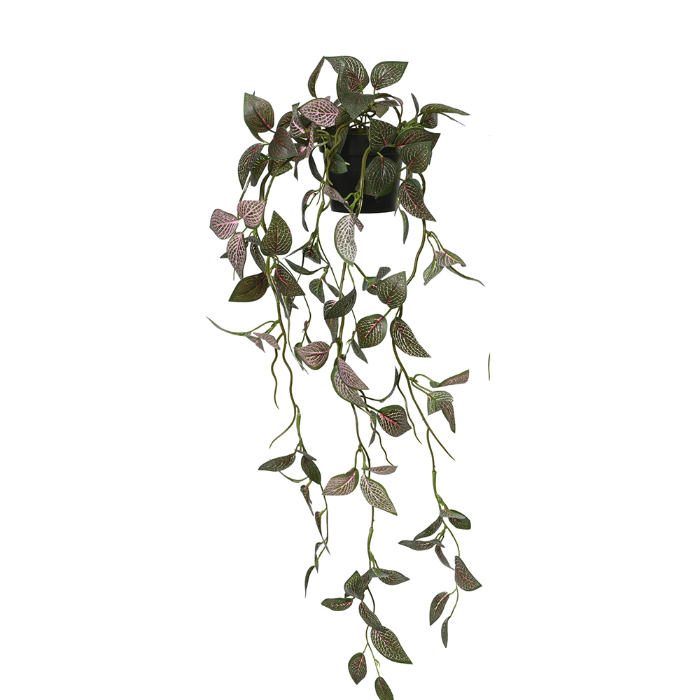 ΚΡΕΜΑΣΤΗ ΦΙΤΟΝΙΑ ΣΕ ΓΛΑΣΤΡΑ ΜΩΒ ΠΡΑΣΙΝΟ Δ15ΧΗ70ΕΚ.-KAEMINGK-8997851